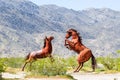 Mar 18, 2019 Borrego Springs / CA / USA - Outdometal sculptures of fighting wild horses, close to Anza-Borrego Desert State Park,