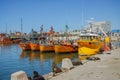 Mar del Plata, Argentina - January 15th, 2024: Fishing boats an sea lions in the port of Mar del Plata, Buenos Aires