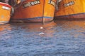 Fishing boats and seagulls , in mar del plata port