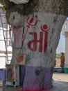 Hough neem tree trunk at Hinglaj Mata Temple at Hinglaj village idar himmatnagar road Sabarkantha Gujarat Royalty Free Stock Photo