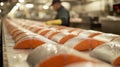 Freshly Caught Salmon Lined Up on Ice in a Fish Processing Plant Royalty Free Stock Photo