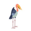 Marabou stork bird isolated on a white background. Cute african birds for children. Vector flat illustration.