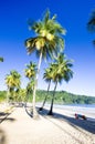 Maracas Bay, Trinidad Royalty Free Stock Photo