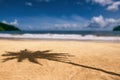 Maracas bay Trinidad and Tobago beach palm tree shadow Royalty Free Stock Photo