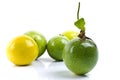 Maracuja - Passion Fruit Royalty Free Stock Photo