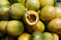 Maracuja passion fruit, Passiflora edulis