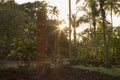 Marae Arahurahu, Pa'ea, Tahiti, French Polynesia