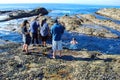 Marine ecologist studying marine life near Crescent bay, Laguna Beach, California. Royalty Free Stock Photo
