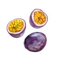 The marakuya or passion fruit isolated on white background, watercolor illustration set Royalty Free Stock Photo