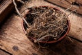 Maral root in herbal medicine Royalty Free Stock Photo