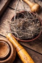 Maral root in herbal medicine