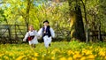 Maramures county in spring time with blooming trees, and kids running