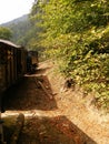 The most well-known mocanita steam train runs in the Vaser Valley in Maramures County in north of Romania