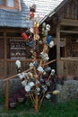 Typical tree to signal a woman of marriage age in the Maramures