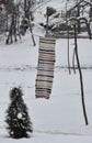 Maramures, tourist area in romania, steam trains, colorful carpets, wooden art