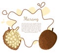 Marang Exotic Juicy Fruit Vector Terap Poster