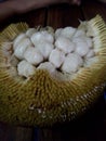 Marang Royalty Free Stock Photo