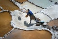 Harvesting salt at Salinas de Maras