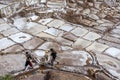 The Maras salt ponds in the Sacred Valley of the Incas in Peru.