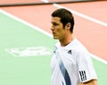 Marat Safin Royalty Free Stock Photo