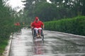 Marathon men with paraplegia Royalty Free Stock Photo