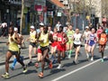 Traditional Belgrade Marathon. A group of professional runners leads the race.