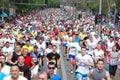 Traditional Belgrade Marathon. A group of amateur runners.