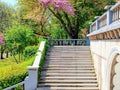 Marbel stairs and parapet in a park with green and purple blossoming trees Royalty Free Stock Photo