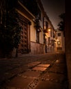 Marbella street at ground level at night, with brown tile perspective