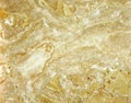 Marble Background Royalty Free Stock Photo