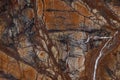 Marble background, natural stone of bright color with branched veins is called Bidasar Brown