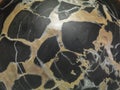 Marble background