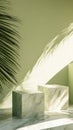 marble blocks casting shadows with palm leaf on green wall, minimalistic interior concept Royalty Free Stock Photo