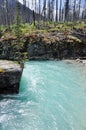 Marble canyon at Kootenay National Park (Canada) Royalty Free Stock Photo
