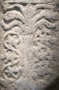 Marble carved chancel depicting the Life Tree from visigoth period. Closeup