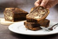 Marble chocolate pound cake or loaf bread