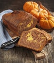 Marble chocolate pumpkin cake