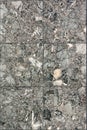 marble concrete gray terrazzo texture