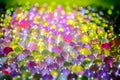 Marble crystal clear ball, rainbow multicolored glitter sparkles background. Selective focus. Multicolored Royalty Free Stock Photo