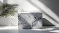 Marble cube with palm shadow Royalty Free Stock Photo