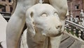 Marble dog, Pretoria fountain, palermo