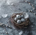 Marble Easter eggs in bird nest with feathers and spring flowers on blue background. Happy Easter holiday, top view, flat lay Royalty Free Stock Photo