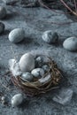 Marble Easter eggs in bird nest with feathers and spring flowers on blue background with light Royalty Free Stock Photo