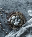 Marble Easter eggs in bird nest with feathers and spring flowers on blue background with napkin. Happy Easter holiday, top view, Royalty Free Stock Photo
