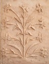 Marble flowers bas-relief - exterior detail of Taj Mahal, Agra, Uttar Pradesh, India Royalty Free Stock Photo