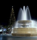 Marble Fountain at night with Christmas Tree Royalty Free Stock Photo