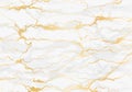 Marble and golden line vector art texture background illustrati Royalty Free Stock Photo