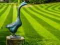 Marble goose statue with a fresh mowed grass lawn with stripes, Modern luxurious gardens