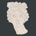 Marble greek sculpture. Antique head sculpture, classic ancient greek god head. Isolated flat vector illustration