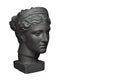 Marble head of young woman painted in black, ancient Greek goddess bust isolated on white background.